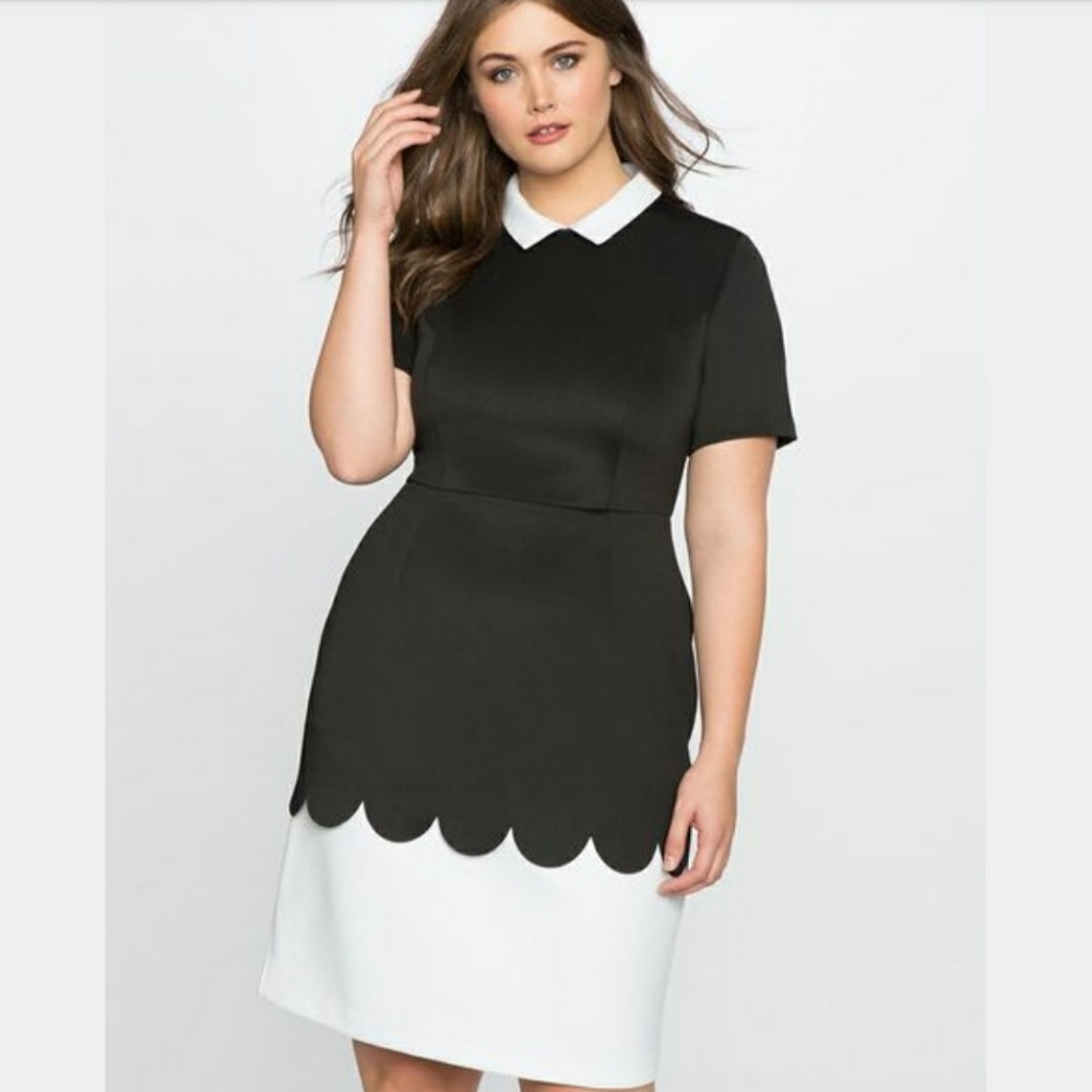 Eloquii Lasercut Scalloped Contrast Dress NWT